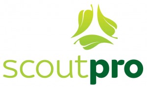 Square One DSM ScoutPro Logo Square One DSM ScoutPro Logo